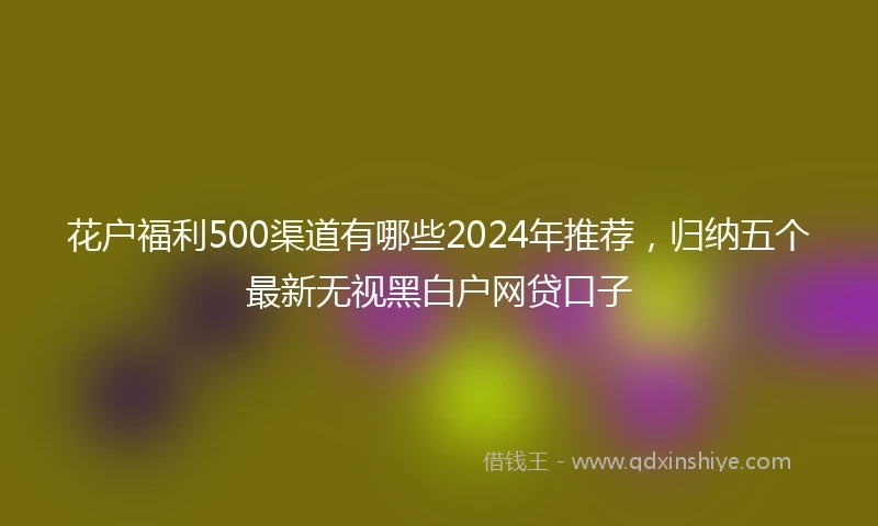 花户福利500渠道有哪些2024年推荐，归纳五个最新无视黑白户网贷口子