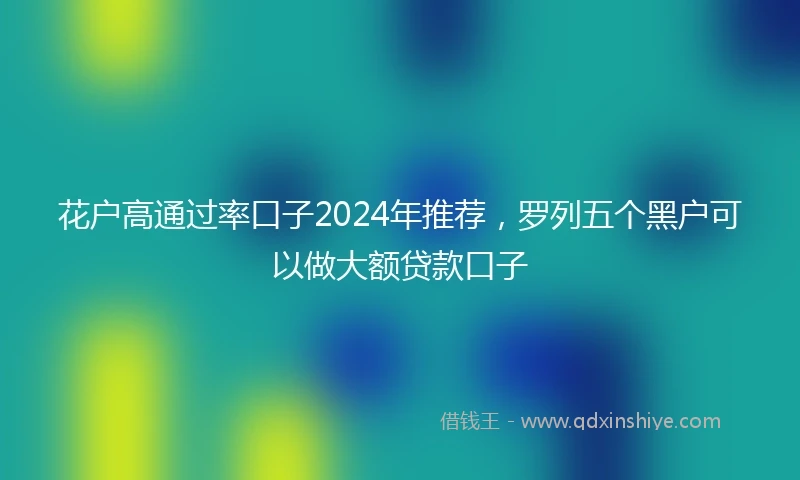 花户高通过率口子2024年推荐，罗列五个黑户可以做大额贷款口子