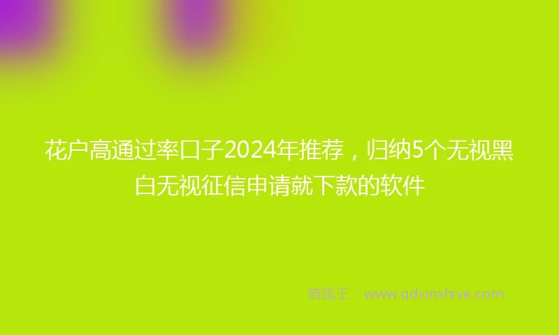 花户高通过率口子2024年推荐，归纳5个无视黑白无视征信申请就下款的软件