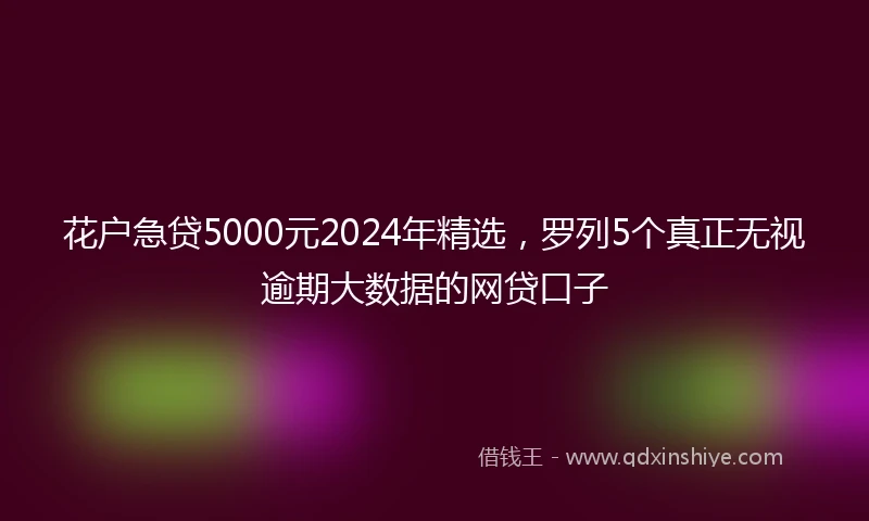 花户急贷5000元2024年精选，罗列5个真正无视逾期大数据的网贷口子