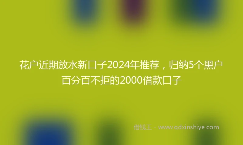 花户近期放水新口子2024年推荐，归纳5个黑户百分百不拒的2000借款口子