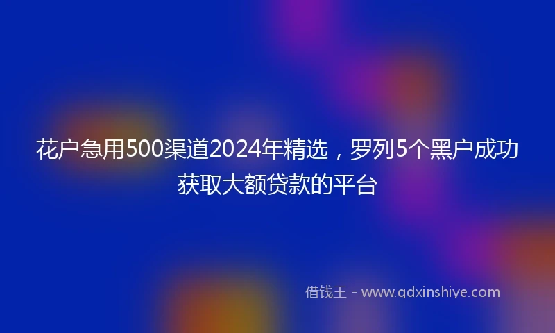 花户急用500渠道2024年精选，罗列5个黑户成功获取大额贷款的平台