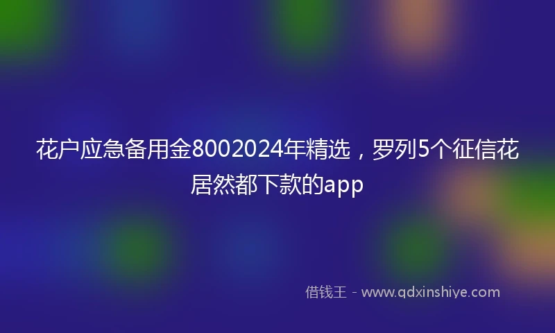 花户应急备用金8002024年精选，罗列5个征信花居然都下款的app