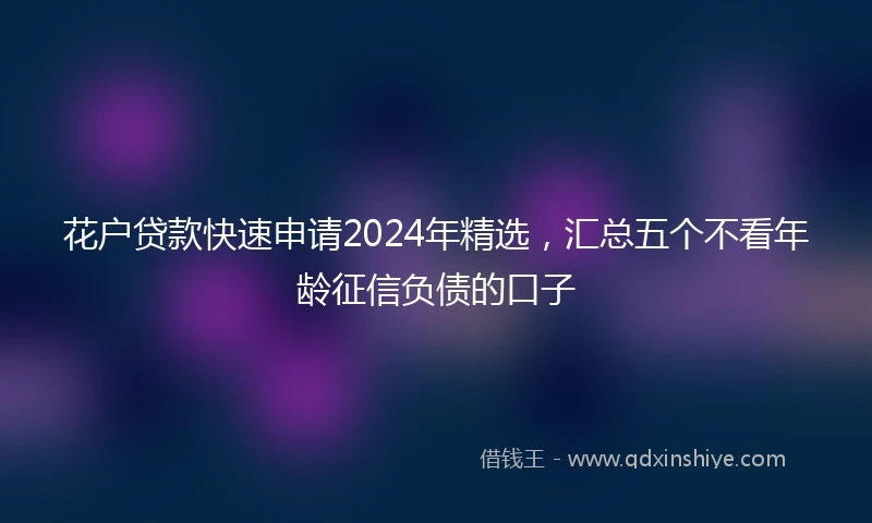 花户贷款快速申请2024年精选，汇总五个不看年龄征信负债的口子