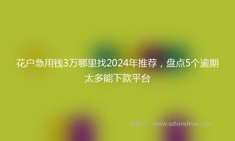 花户急用钱3万哪里找2024年推荐，盘点5个逾期太多能下款平台