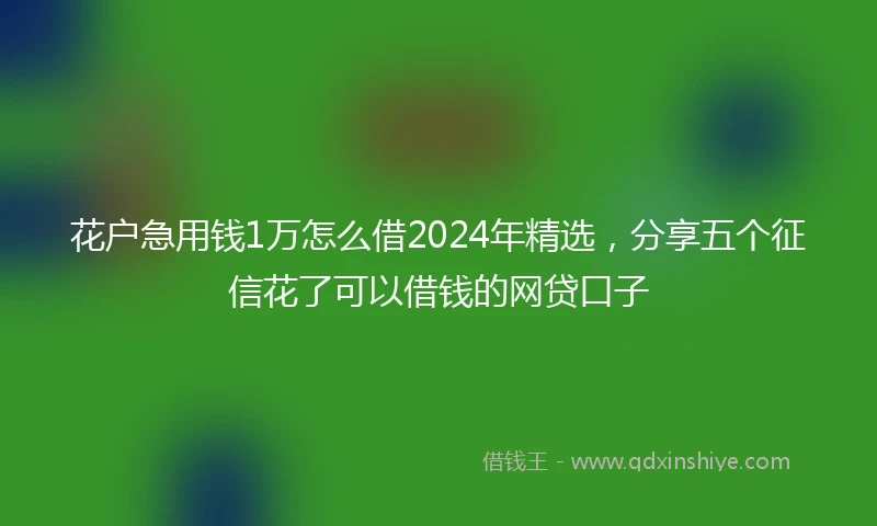 花户急用钱1万怎么借2024年精选，分享五个征信花了可以借钱的网贷口子