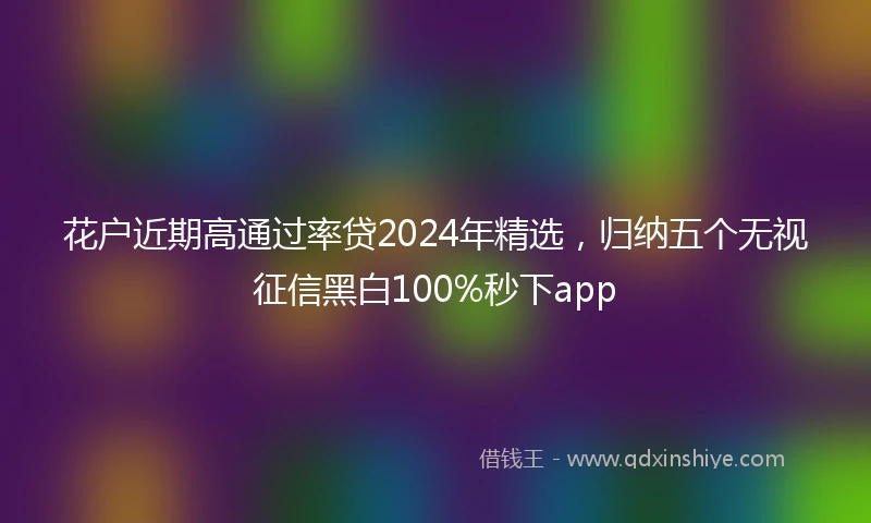 花户近期高通过率贷2024年精选，归纳五个无视征信黑白100%秒下app