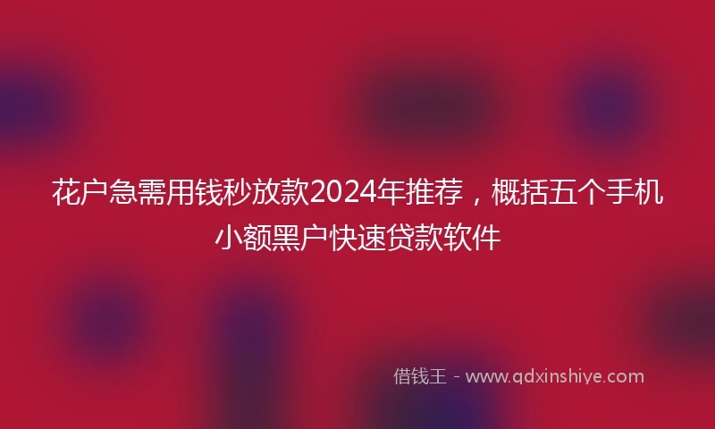 花户急需用钱秒放款2024年推荐，概括五个手机小额黑户快速贷款软件