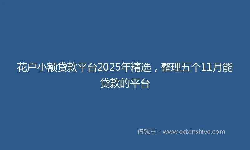 花户小额贷款平台2025年精选，整理五个11月能贷款的平台