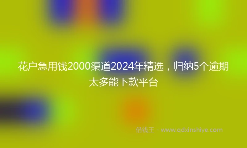 花户急用钱2000渠道2024年精选，归纳5个逾期太多能下款平台