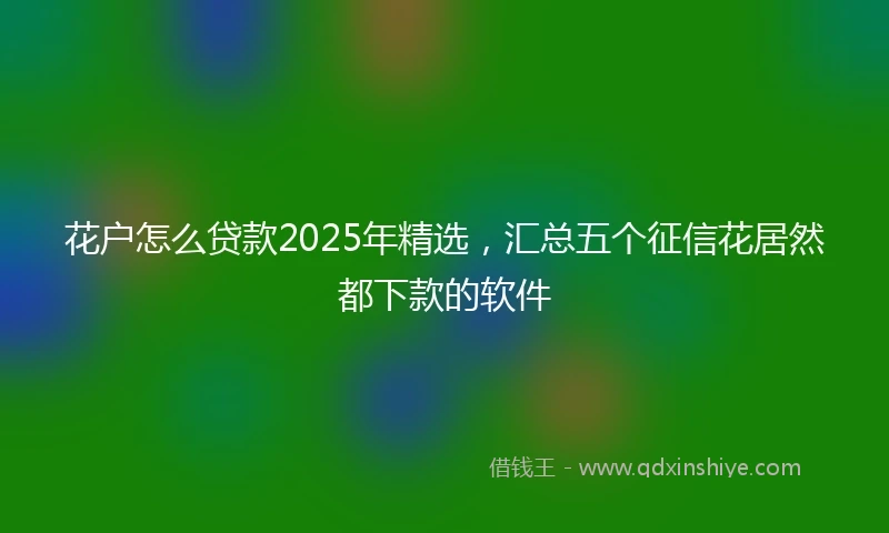 花户怎么贷款2025年精选，汇总五个征信花居然都下款的软件