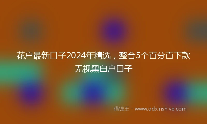 花户最新口子2024年精选，整合5个百分百下款无视黑白户口子