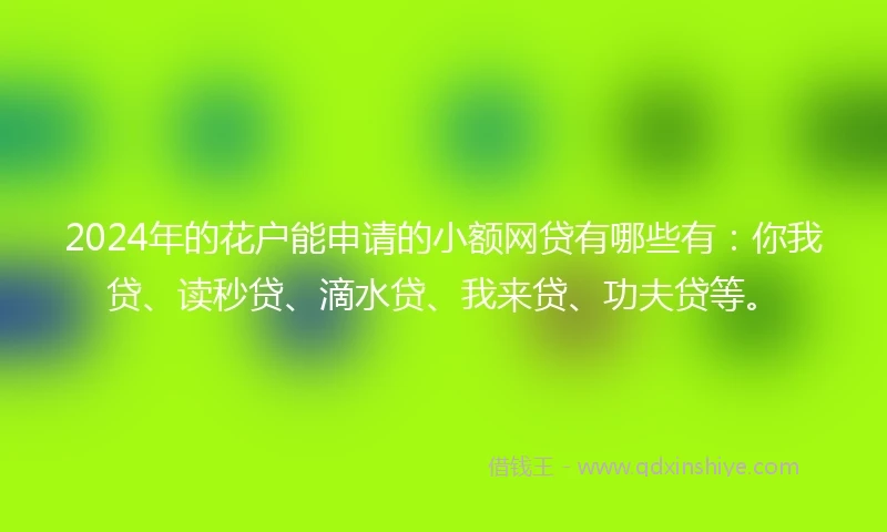 2024年的花户能申请的小额网贷有哪些有：你我贷、读秒贷、滴水贷、我来贷、功夫贷等。