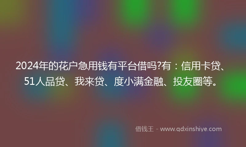 2024年的花户急用钱有平台借吗?有:信用卡贷、51人品贷、我来贷、度小满金融、投友圈等。