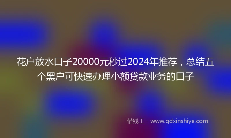 花户放水口子20000元秒过2024年推荐，总结五个黑户可快速办理小额贷款业务的口子