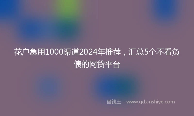 花户急用1000渠道2024年推荐，汇总5个不看负债的网贷平台