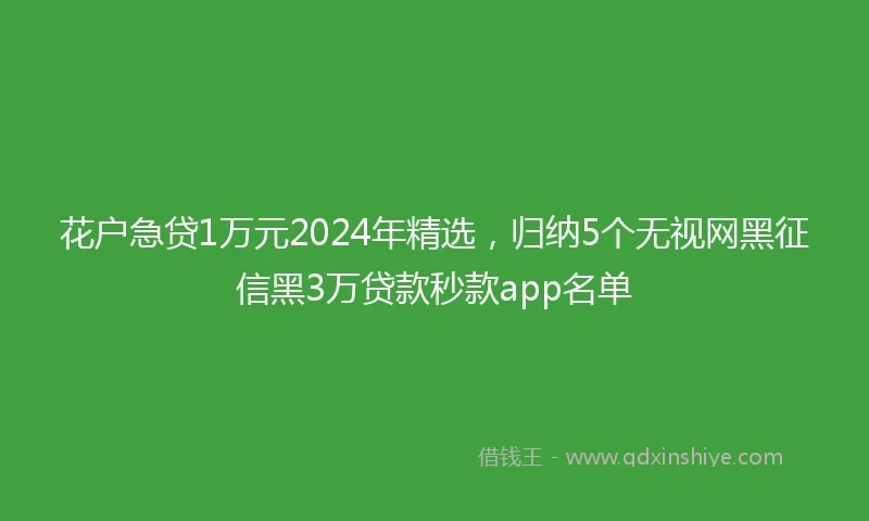 花户急贷1万元2024年精选，归纳5个无视网黑征信黑3万贷款秒款app名单