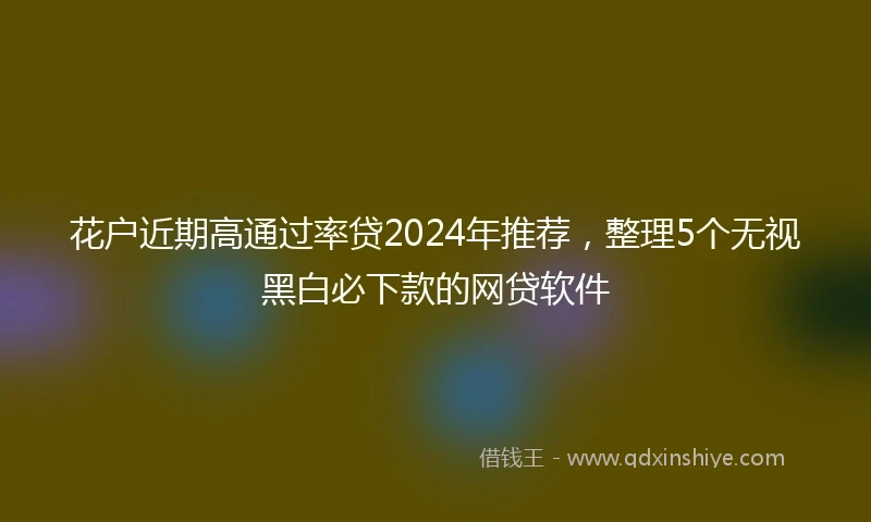 花户近期高通过率贷2024年推荐，整理5个无视黑白必下款的网贷软件