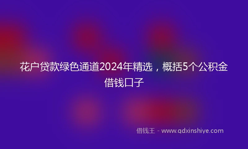 花户贷款绿色通道2024年精选，概括5个公积金借钱口子