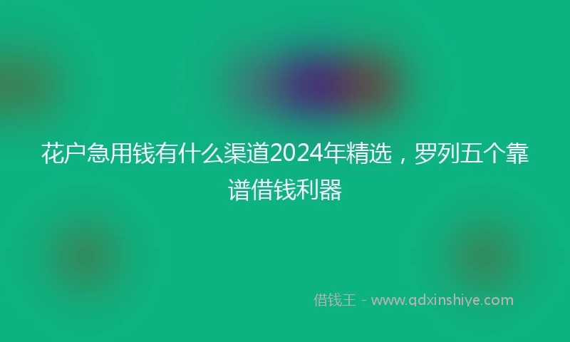 花户急用钱有什么渠道2024年精选，罗列五个靠谱借钱利器