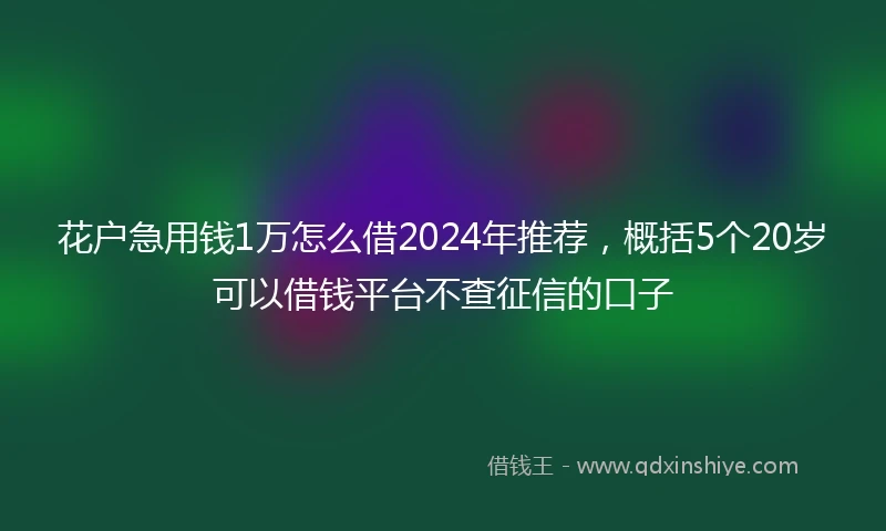 花户急用钱1万怎么借2024年推荐，概括5个20岁可以借钱平台不查征信的口子