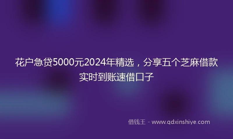 花户急贷5000元2024年精选，分享五个芝麻借款实时到账速借口子