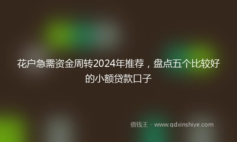 花户急需资金周转2024年推荐，盘点五个比较好的小额贷款口子
