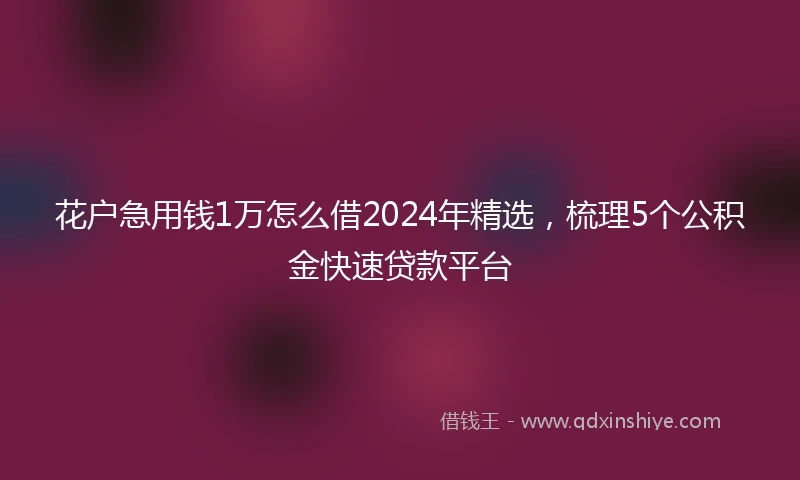 花户急用钱1万怎么借2024年精选,梳理5个公积金快速贷款平台