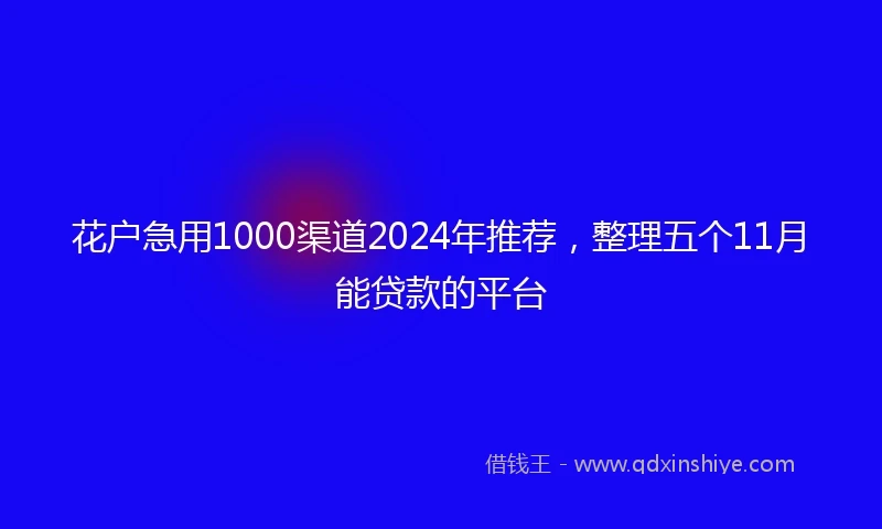 花户急用1000渠道2024年推荐,整理五个11月能贷款的平台