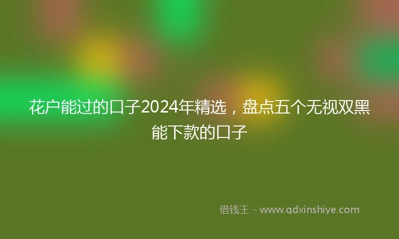 花户能过的口子2024年精选，盘点五个无视双黑能下款的口子