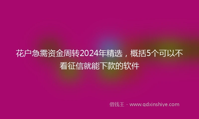 花户急需资金周转2024年精选，概括5个可以不看征信就能下款的软件