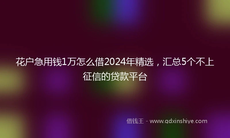 花户急用钱1万怎么借2024年精选，汇总5个不上征信的贷款平台