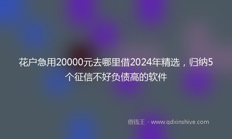花户急用20000元去哪里借2024年精选，归纳5个征信不好负债高的软件