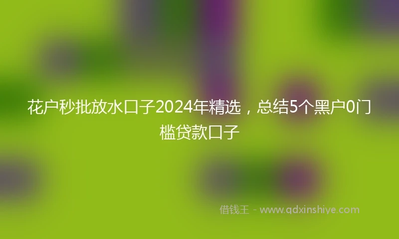 花户秒批放水口子2024年精选，总结5个黑户0门槛贷款口子