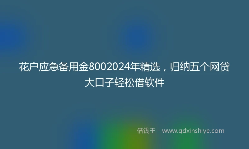 花户应急备用金8002024年精选，归纳五个网贷大口子轻松借软件