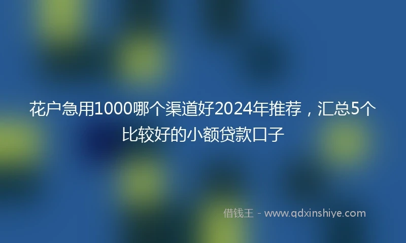 花户急用1000哪个渠道好2024年推荐，汇总5个比较好的小额贷款口子
