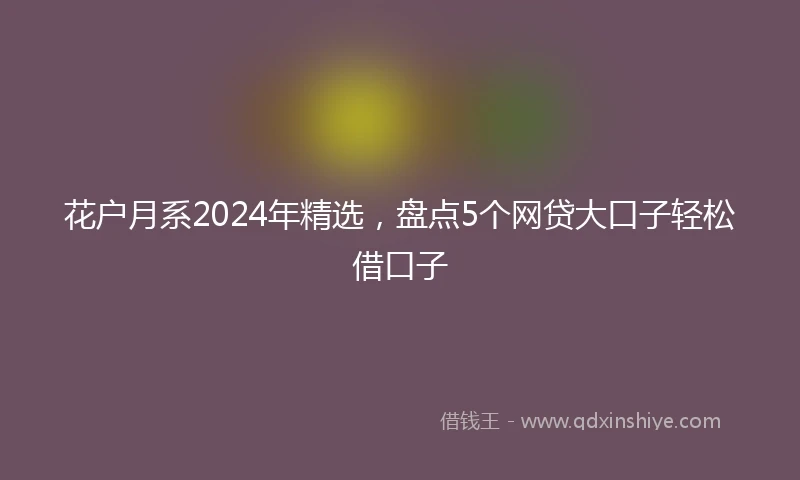 花户月系2024年精选，盘点5个网贷大口子轻松借口子