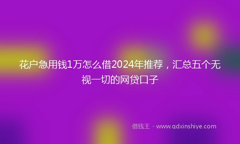 花户急用钱1万怎么借2024年推荐，汇总五个无视一切的网贷口子