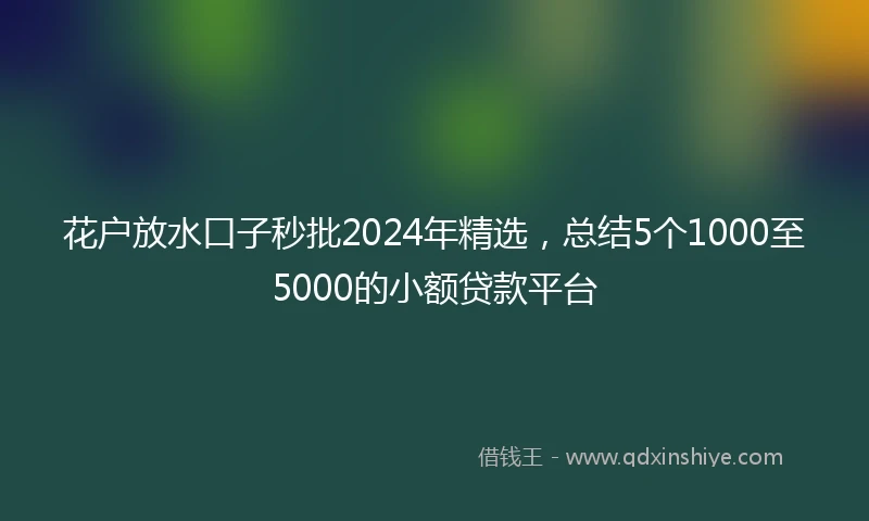 花户放水口子秒批2024年精选，总结5个1000至5000的小额贷款平台