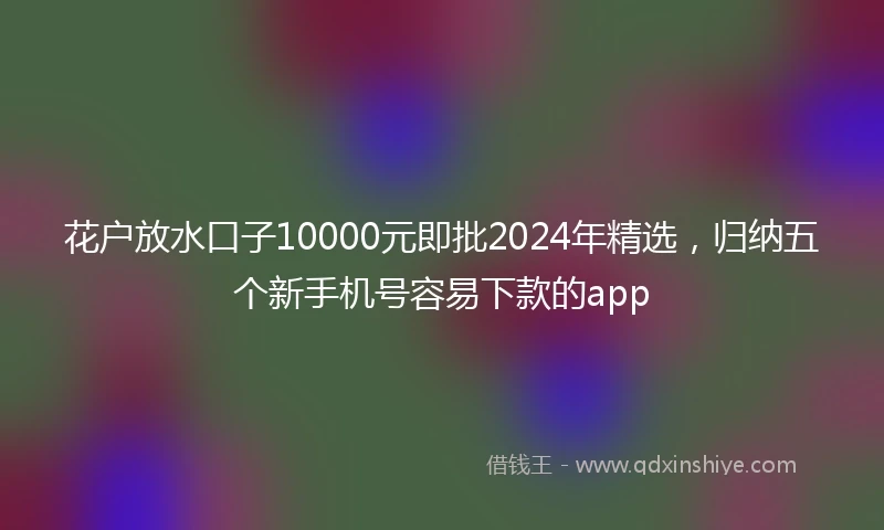 花户放水口子10000元即批2024年精选，归纳五个新手机号容易下款的app