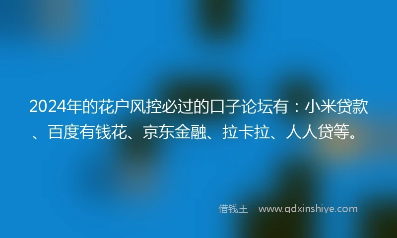 2024年的花户风控必过的口子论坛有：小米贷款、百度有钱花、京东金融、拉卡拉、人人贷等。