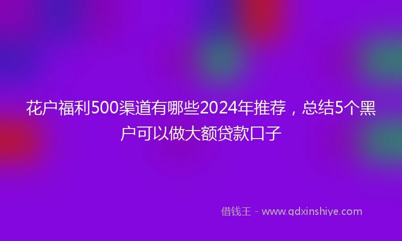 花户福利500渠道有哪些2024年推荐，总结5个黑户可以做大额贷款口子
