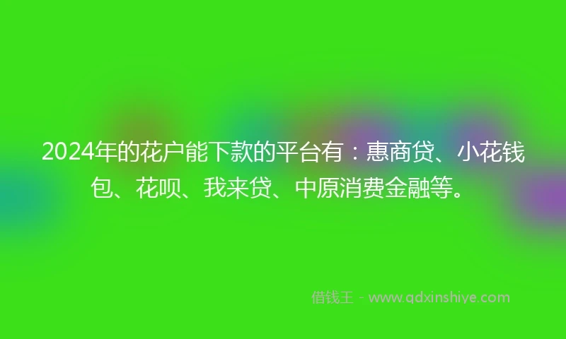 2024年的花户能下款的平台有：惠商贷、小花钱包、花呗、我来贷、中原消费金融等。