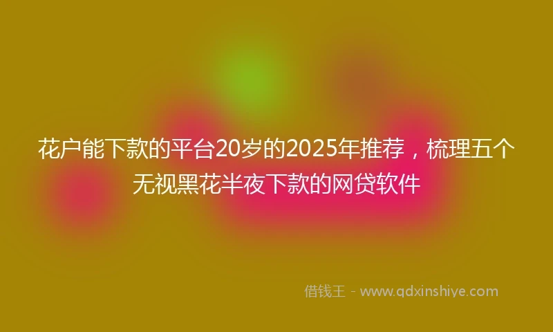 花户能下款的平台20岁的2025年推荐，梳理五个无视黑花半夜下款的网贷软件