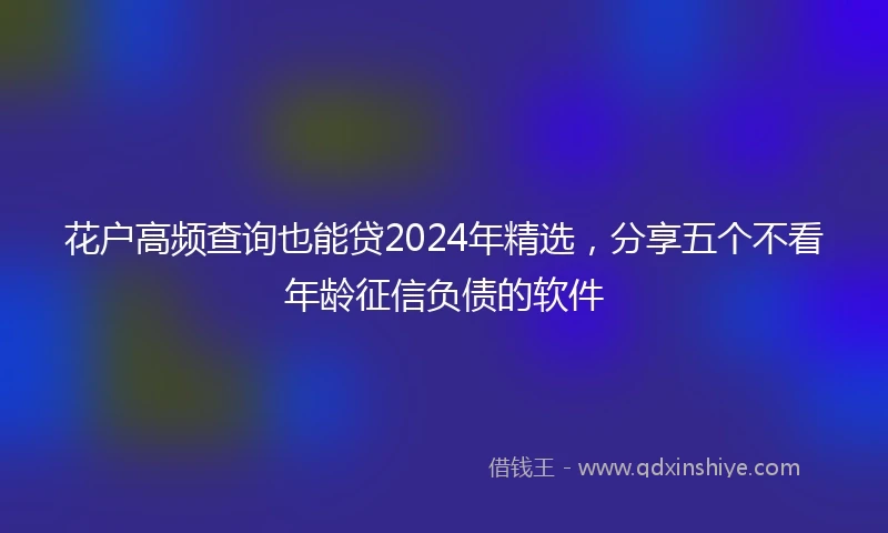花户高频查询也能贷2024年精选，分享五个不看年龄征信负债的软件