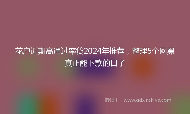 花户近期高通过率贷2024年推荐，整理5个网黑真正能下款的口子