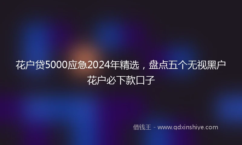 花户贷5000应急2024年精选，盘点五个无视黑户花户必下款口子