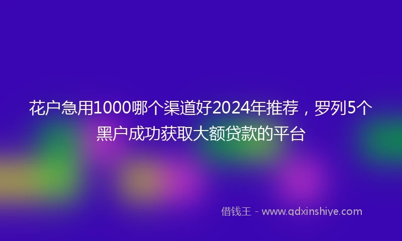 花户急用1000哪个渠道好2024年推荐，罗列5个黑户成功获取大额贷款的平台