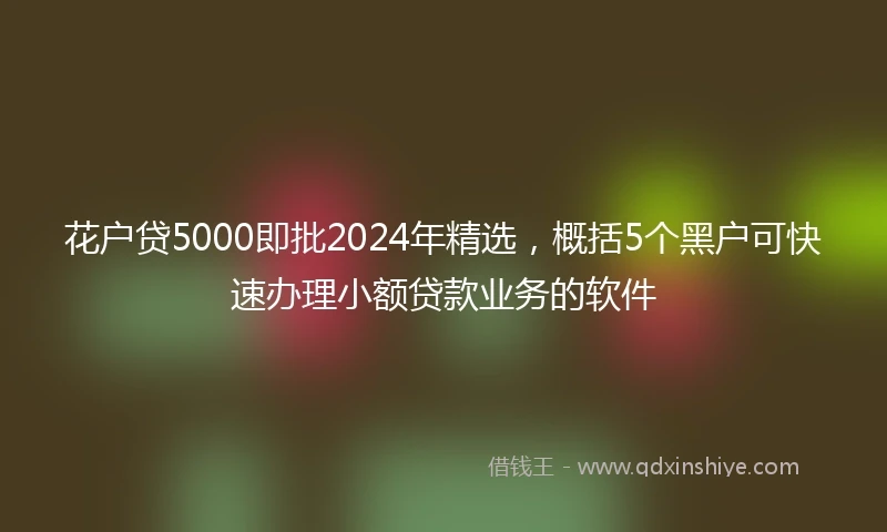 花户贷5000即批2024年精选，概括5个黑户可快速办理小额贷款业务的软件