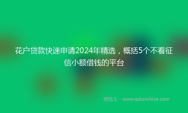 花户贷款快速申请2024年精选，概括5个不看征信小额借钱的平台